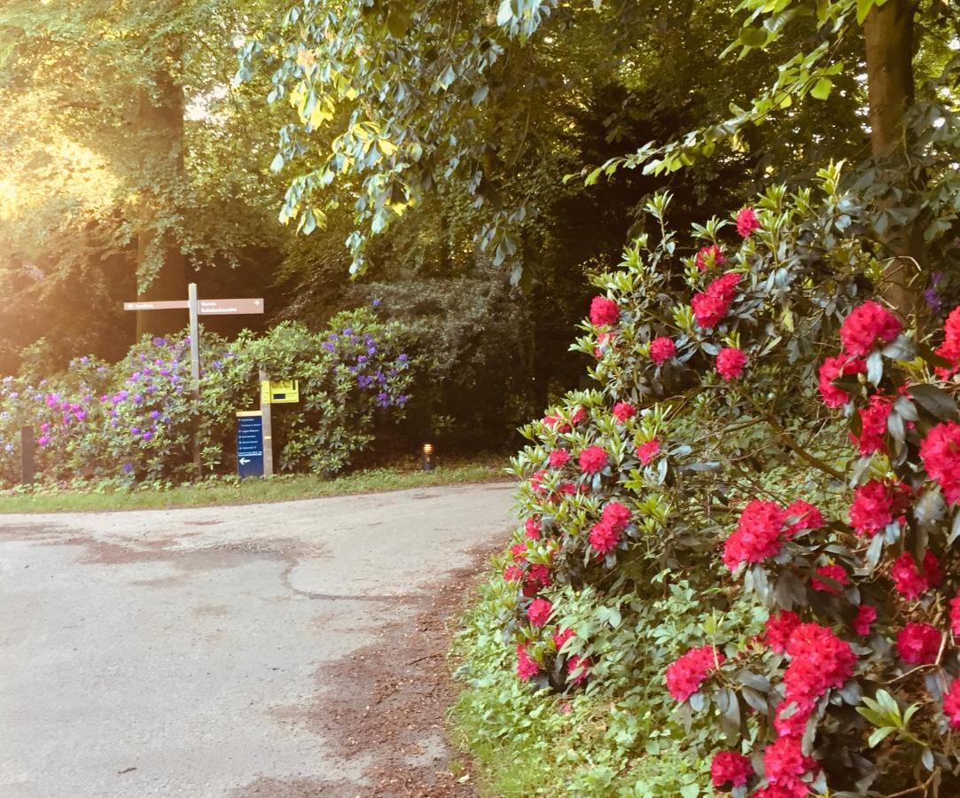 Art+Bed And Breakfast 's-Graveland Kültér fotó